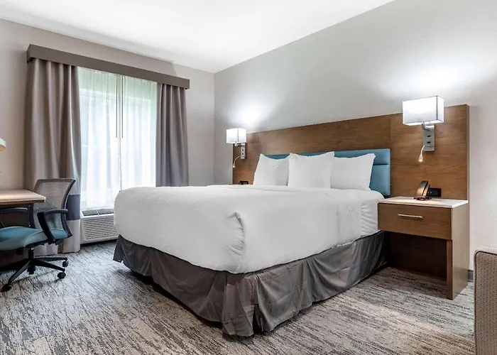 Tryp By Wyndham North I-10 Capital Circle 3* Tallahassee